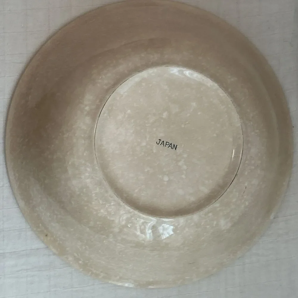 Vintage Hand Painted Green Bay Packer Colors Ceramic Serving Bowl 10” Japan Gift